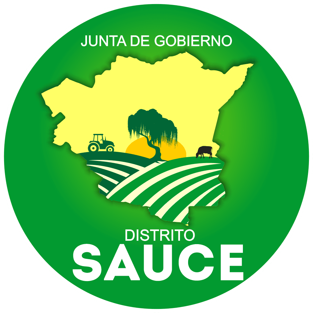 26-Junta de Gobierno Distrito Sauce